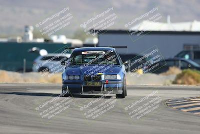 media/Oct-12-2025-Lucky Dog Racing (Sun) [[8adb5568ea]]/1-First Stint/1-Race Start Turn 16/